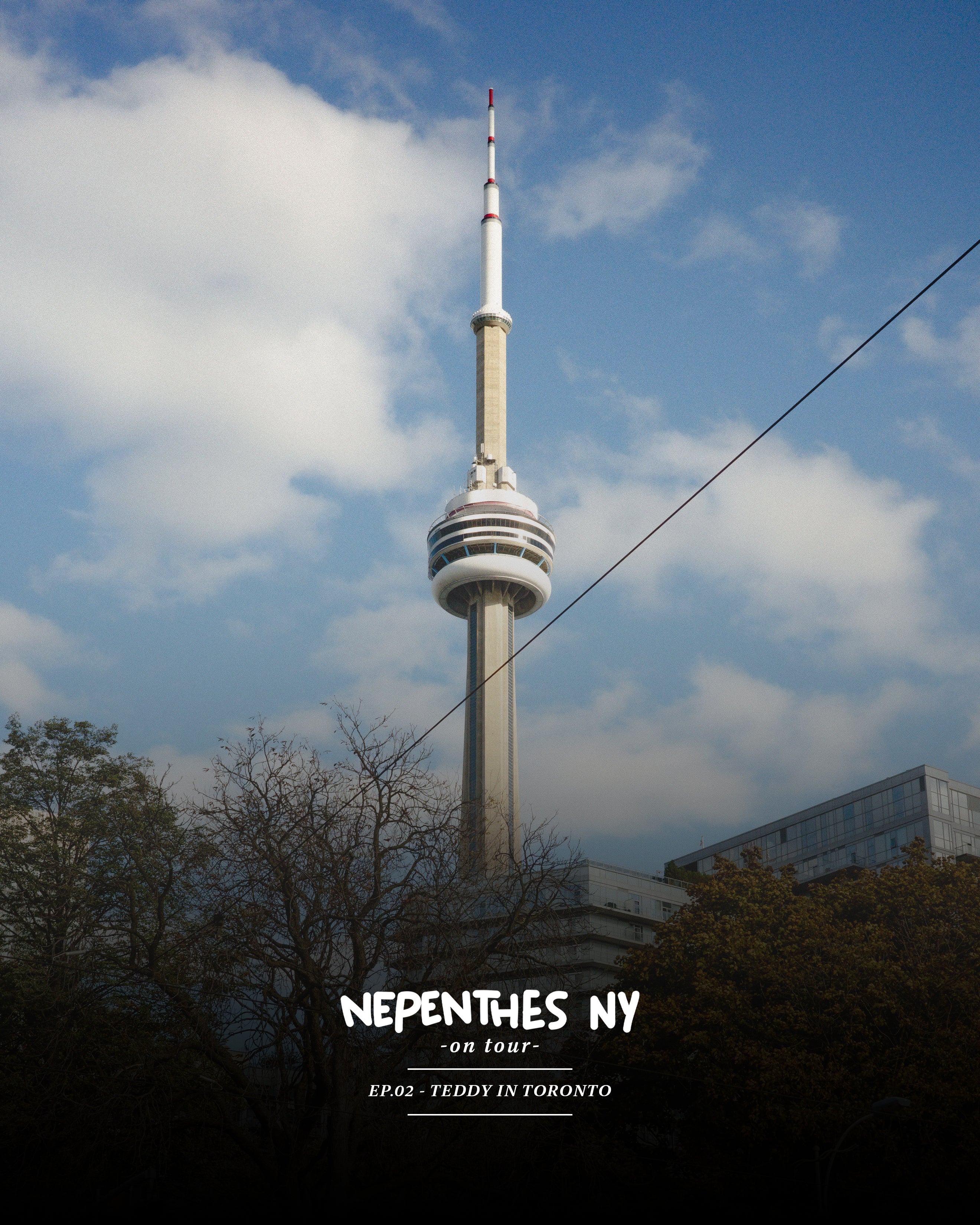 [Nepenthes On Tour] EP.02 Teddy in Toronto
