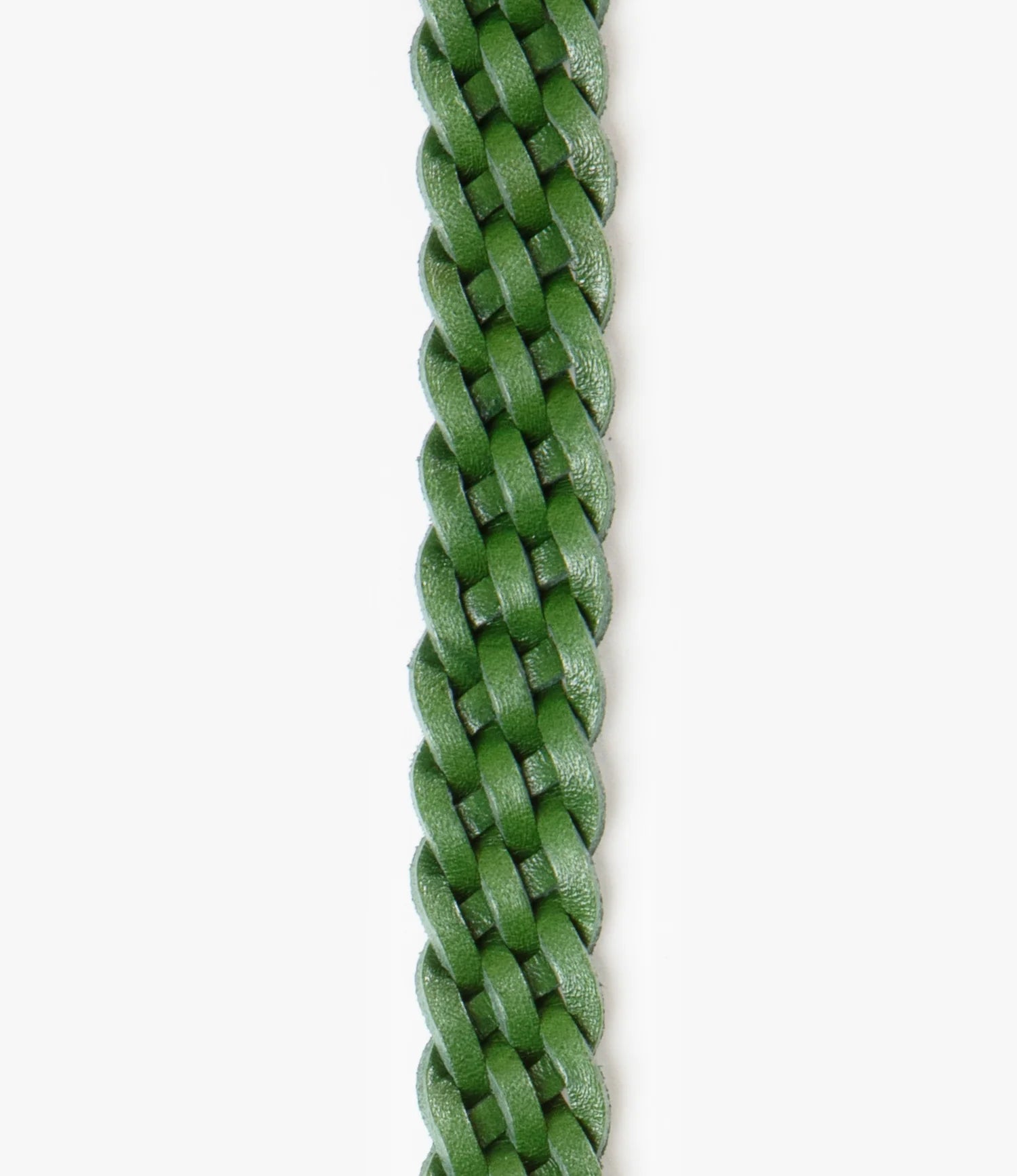 Wing Tip 5-Ply Belt 2 Loops - Regular - Green