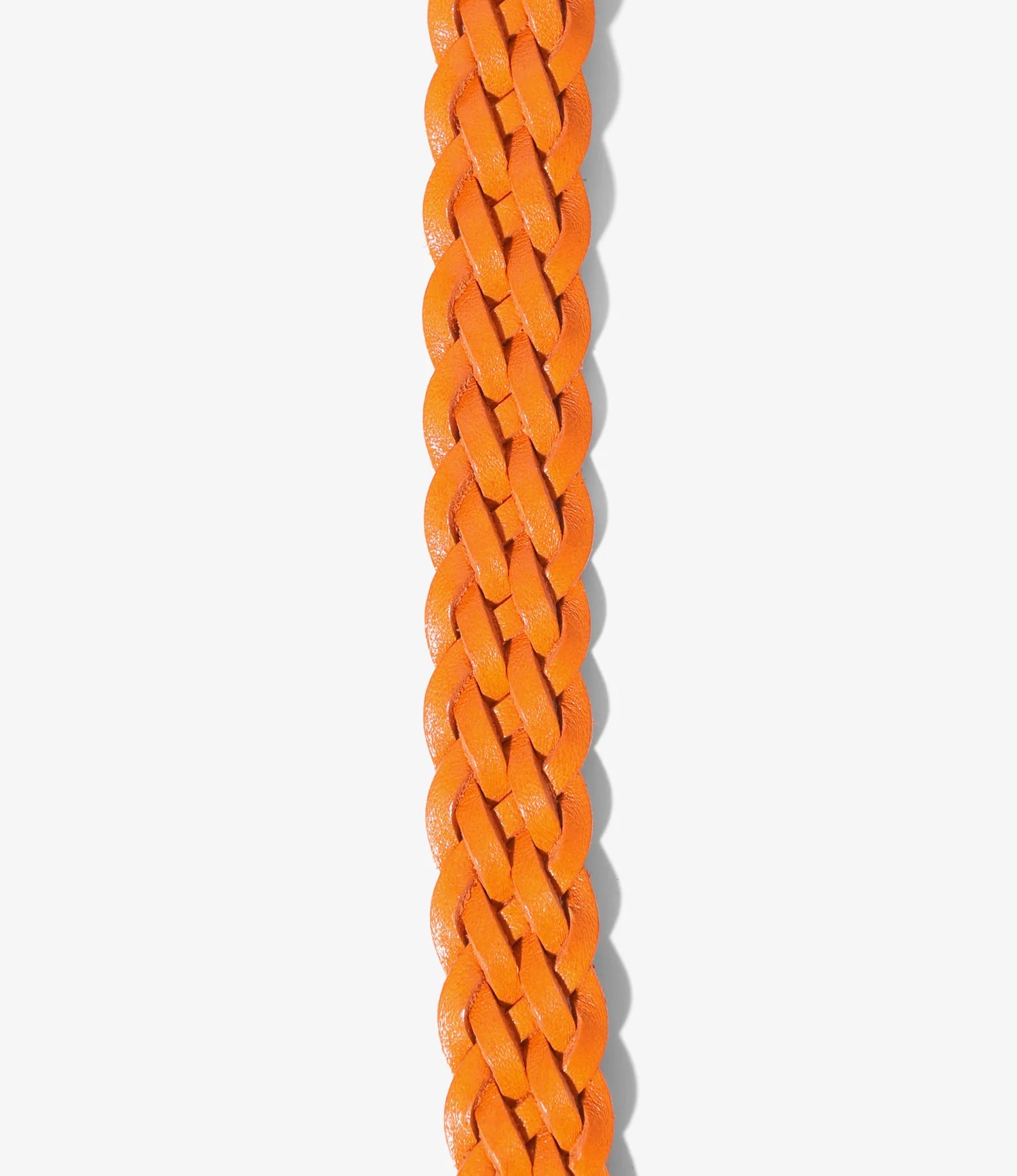 Wing Tip 5-Ply Belt 2 Loops - Regular - Orange