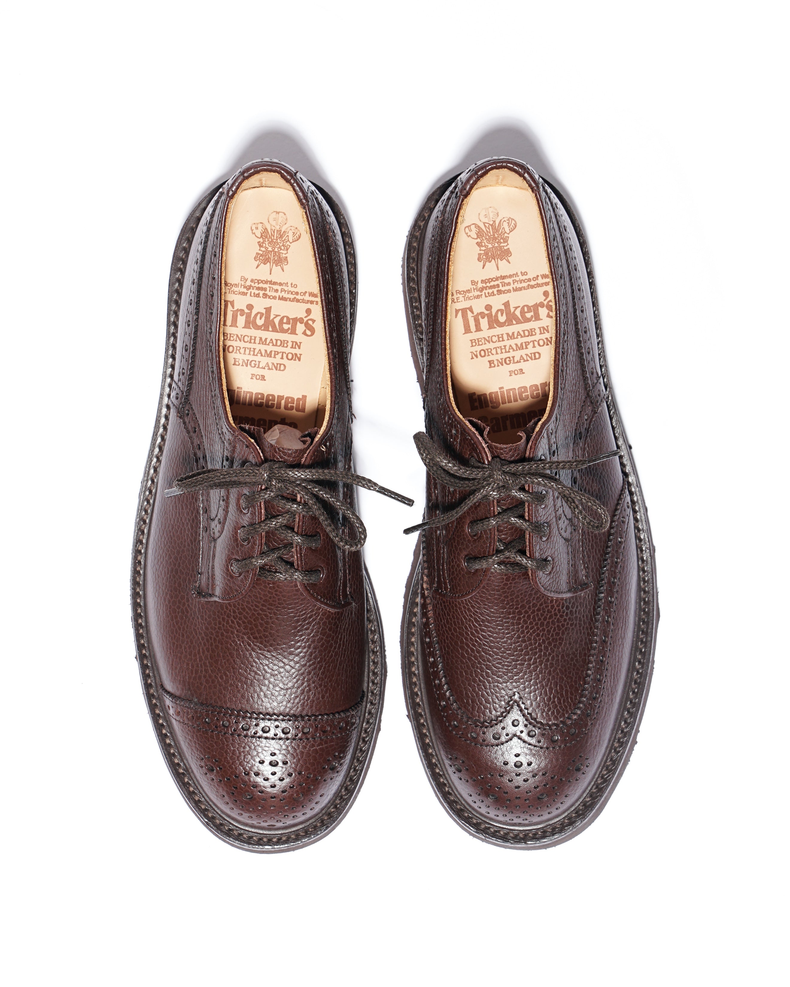 nepenthes × tricker's asymmetric Gibson